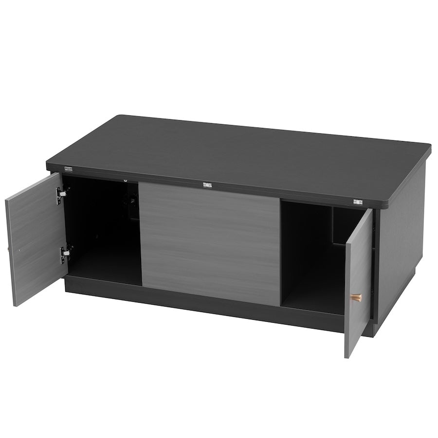 Svatava Modern Lift-top Coffee Table w/ Storage - Black