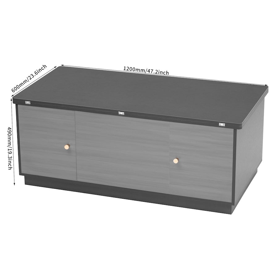 Svatava Modern Lift-top Coffee Table w/ Storage - Black