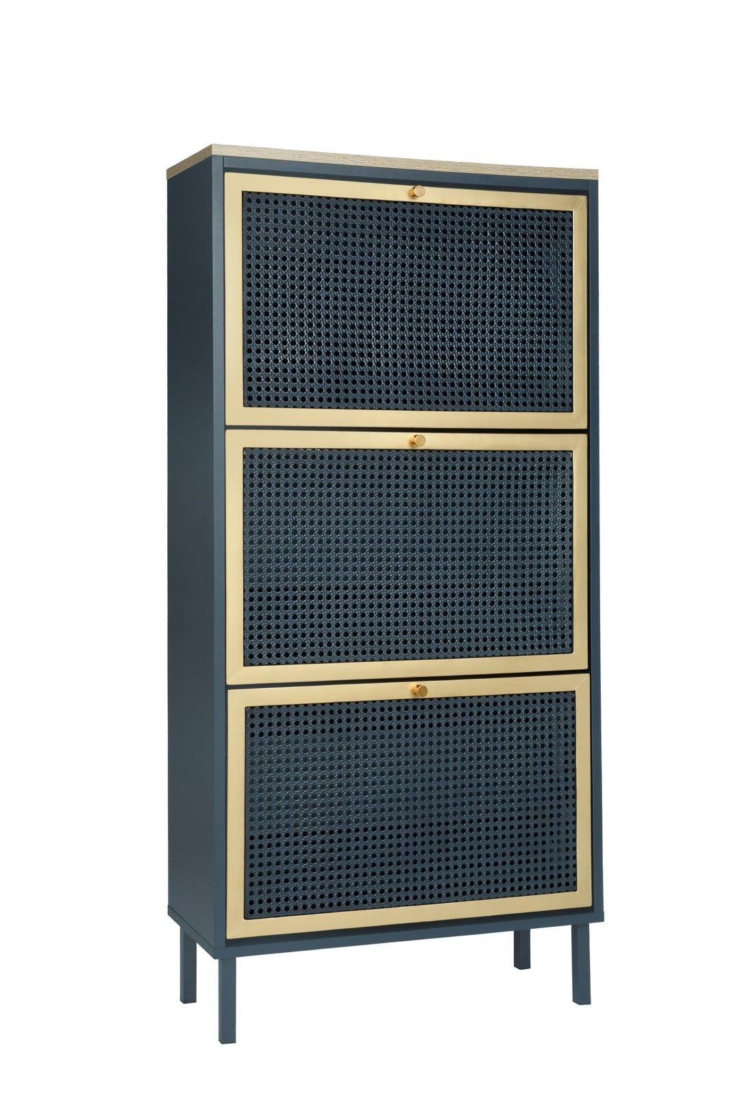 Riley Mid-Century Modern Shoe Cabinet - Blue & Gold