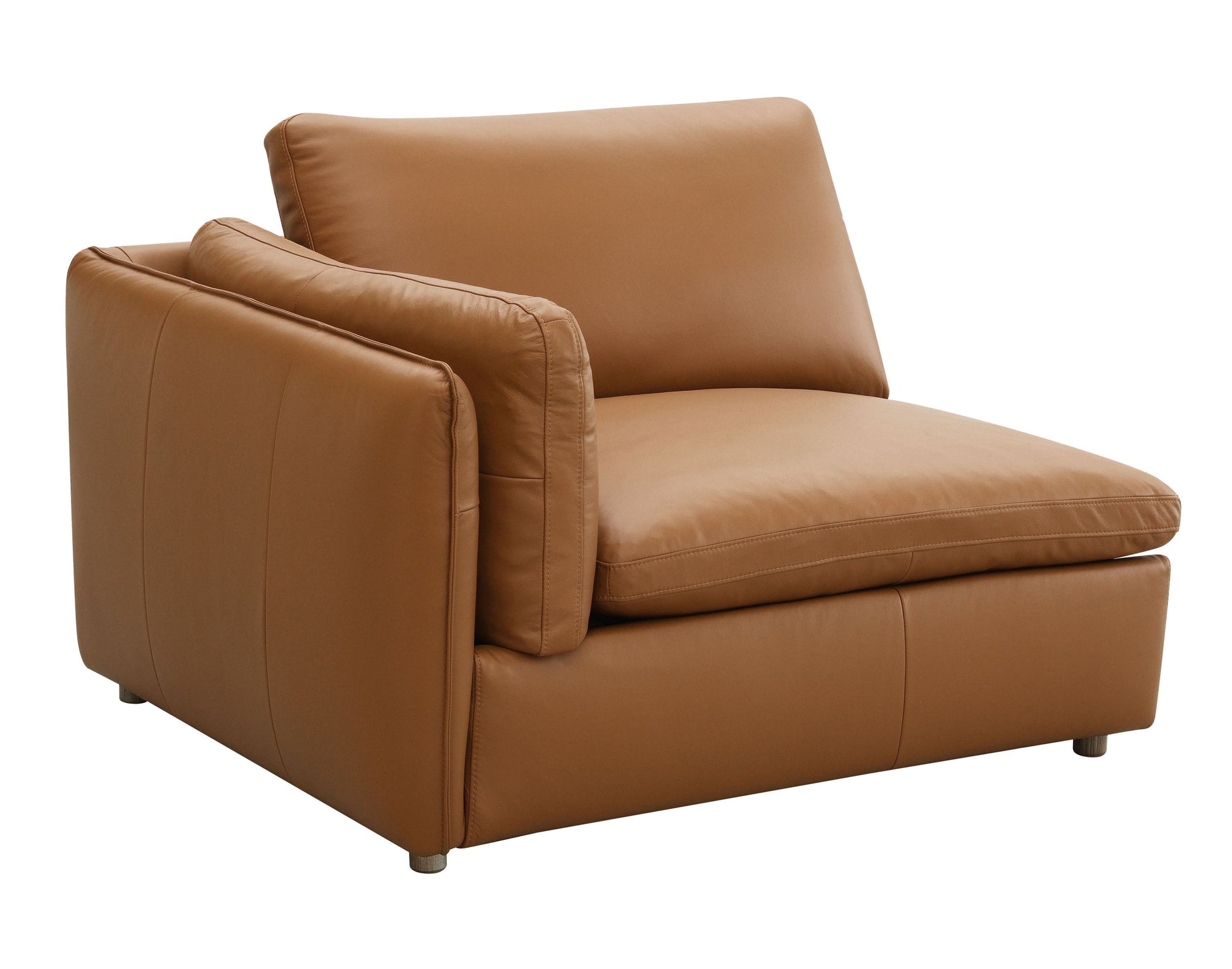 Brighton Transitional Premium Top Grain Leather Sofa, Brown