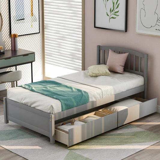 Salem Twin Platform Bed with 2-storage Drawers, Gray