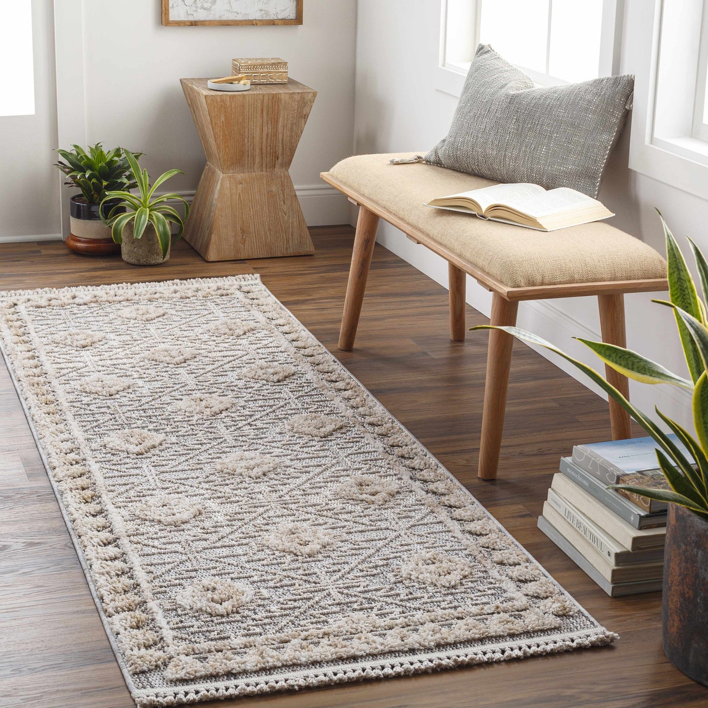 Agoo High-Low Pile Performance Rug