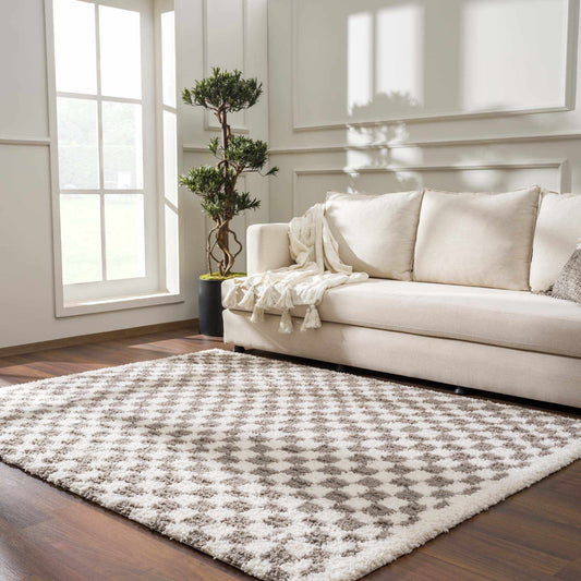 Kieu Taupe Checkered Area Rug