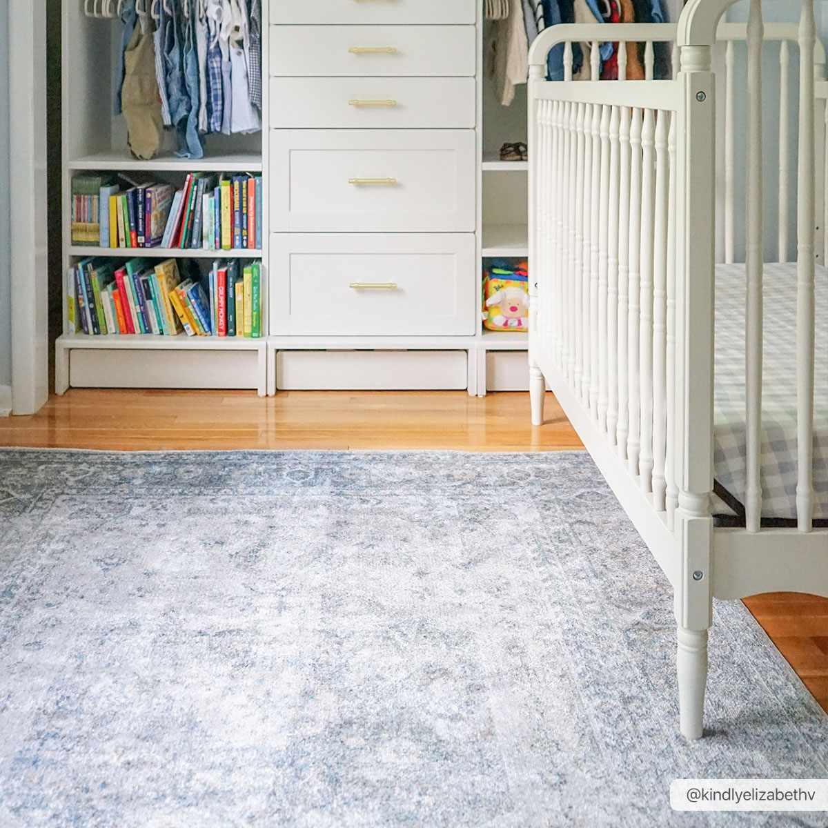 Gael Blue Washable Area Rug