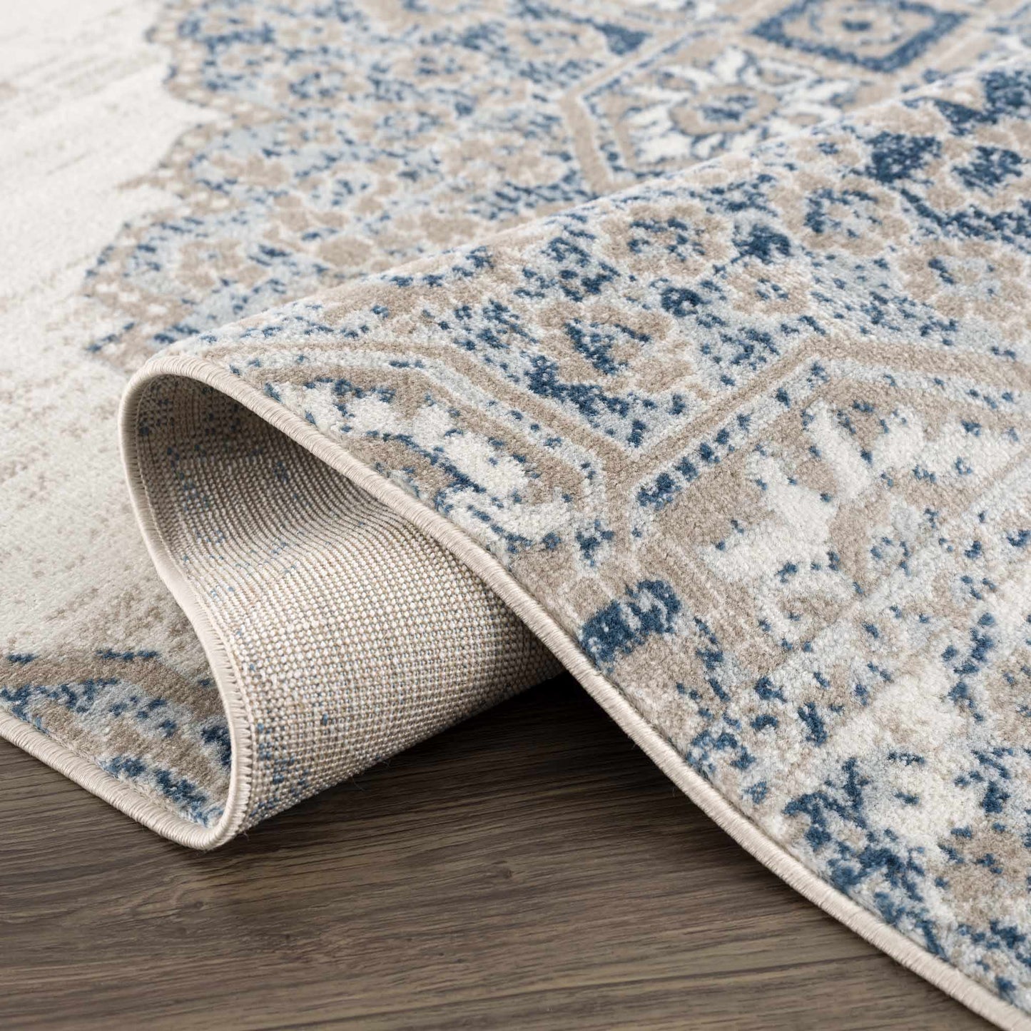 Amir Blue Medallion Area Rug