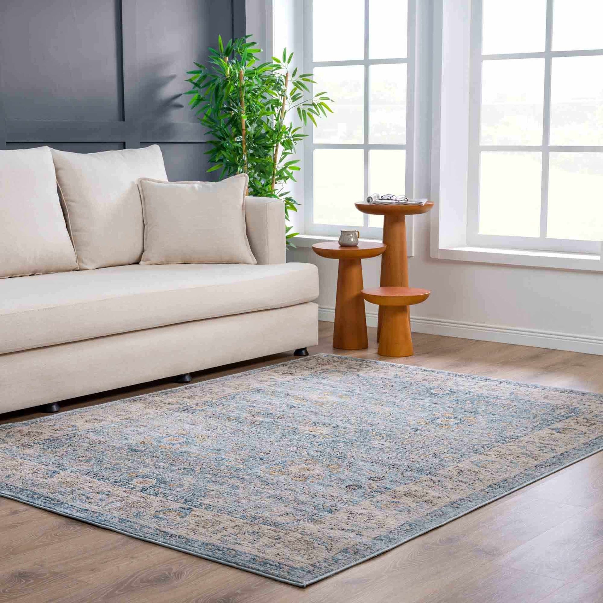 Anana Silver Blue & Beige Area Rug - Clearance