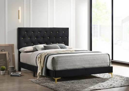 Kendall Velvet Panel Bed in Black & Gold - King