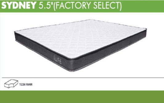 Sydney 5.5" Factory Select Foam Mattress with Quilted Top