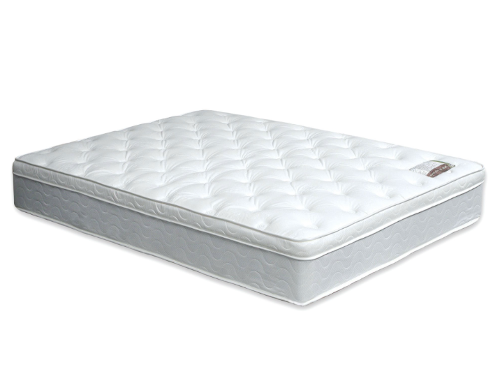 Bird of Paradise 11" Euro Pillow Top Mattress - Queen