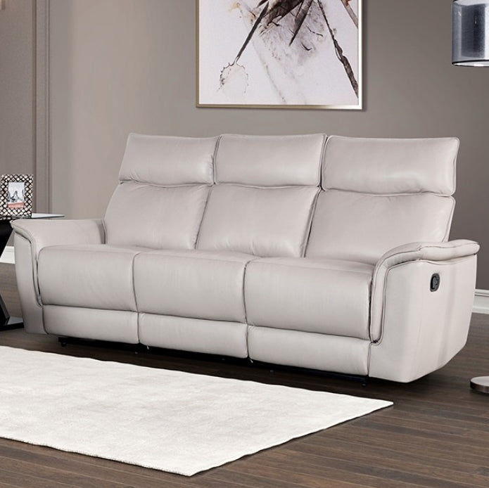 Bienne Transitional Leather Reclining Sofa - Taupe