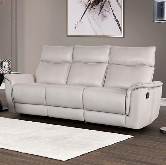 Bienne Transitional Leather Reclining Sofa - Taupe