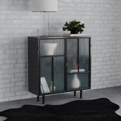 Dalia 2-door Accent Storage Cabinet with Shelving Black