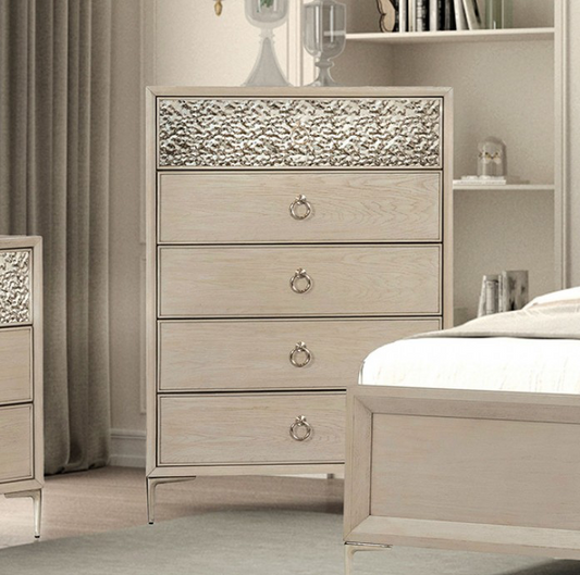 Bashford Modern 5-Drawer Chest with Dented Steel Door