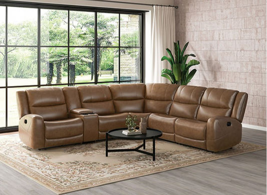 Leolinus Transitional Top Grain Leather Reclining Sectional