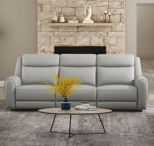 Jacobus Transitional Top Grain Leather Reclining Sofa, Light Gray