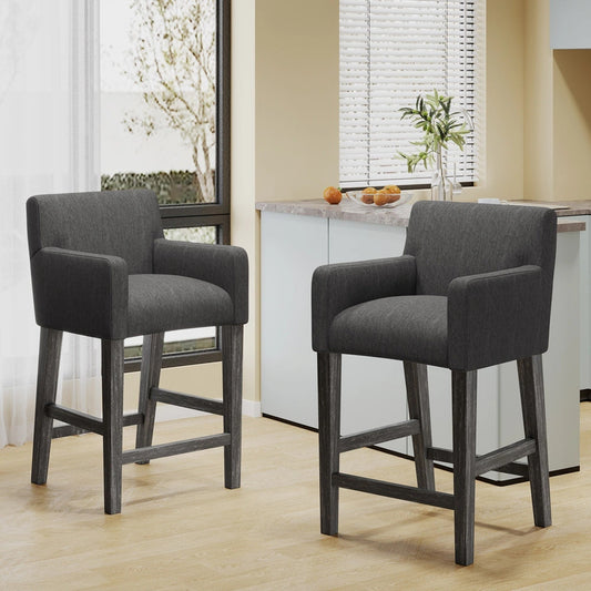 Anouk 26 inch Counter Stool Set of 2 - Charcoal/Gray