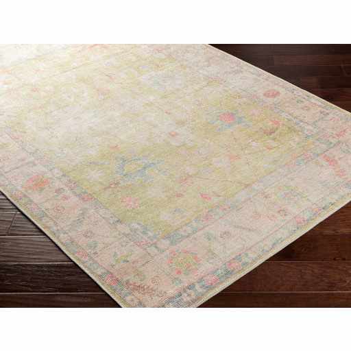 Bozkurt Distressed Washable Rug