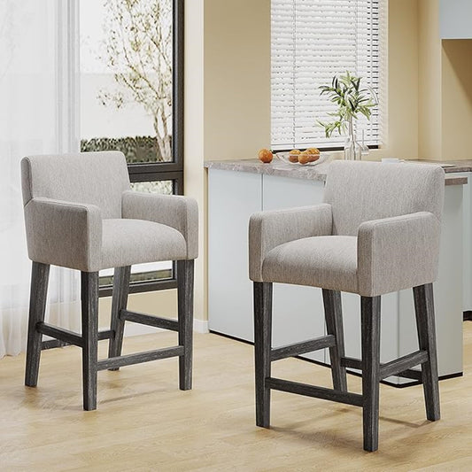 Anouk 26 inch Counter Stool Set of 2 - Light Gray/Gray