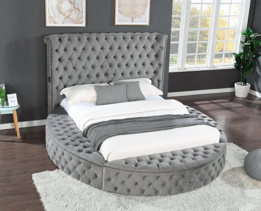 Hazel Contemporary Velvet King Size Storage Bed, Gray