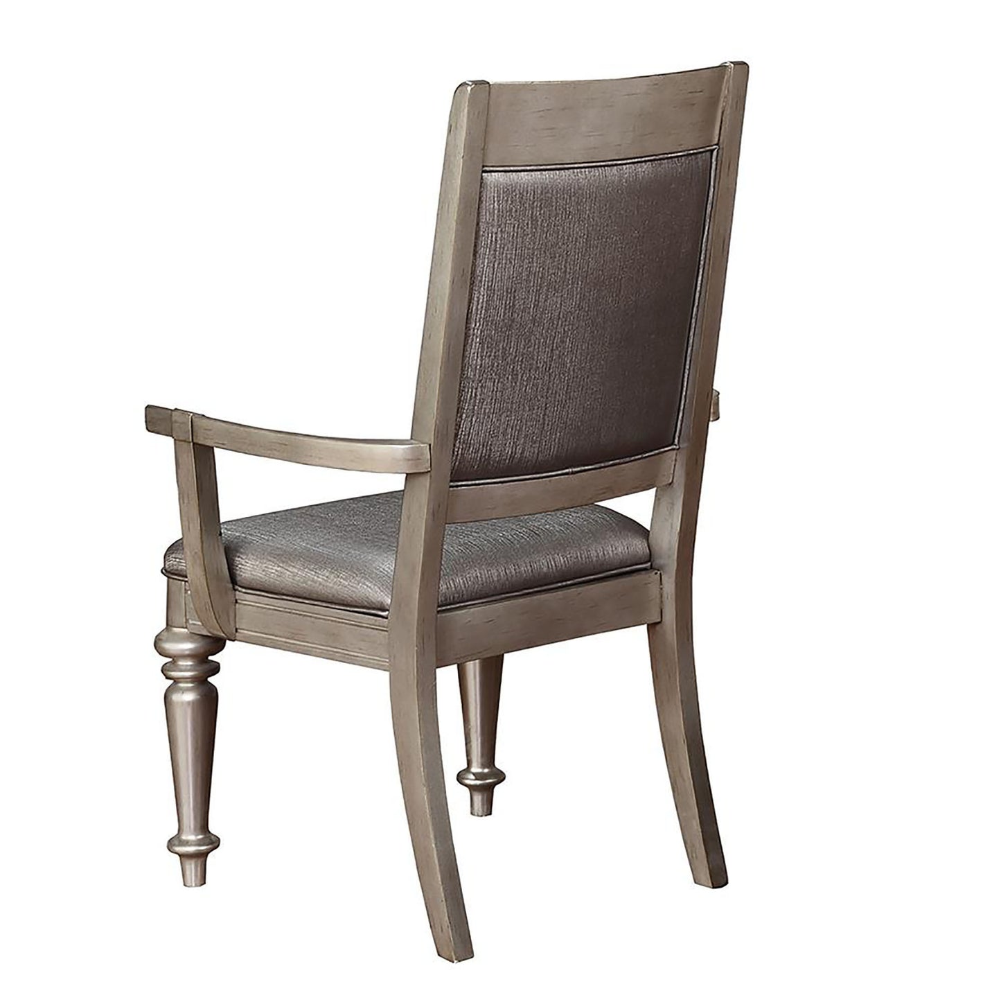 Danette Metallic Platinum and Metallic Open Back Arm Chair Set of 2