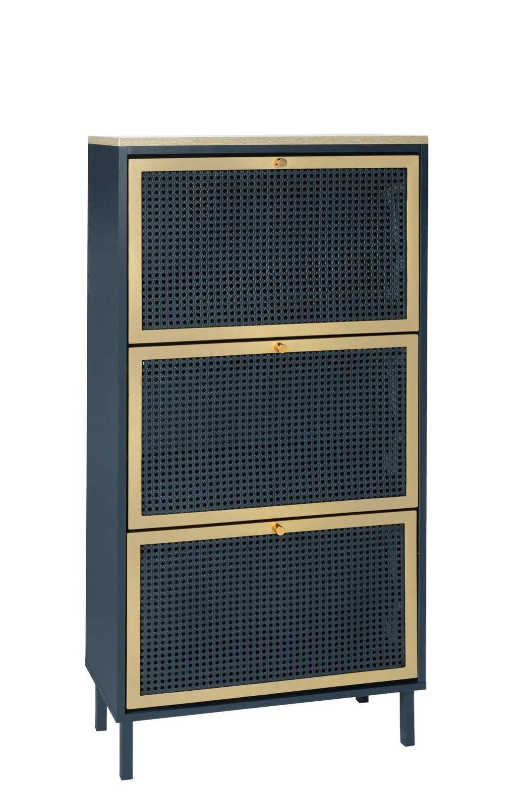 Riley Mid-Century Modern Shoe Cabinet - Blue & Gold