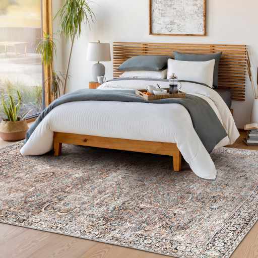 Tan Jill Vintage Washable Area Rug - Clearance