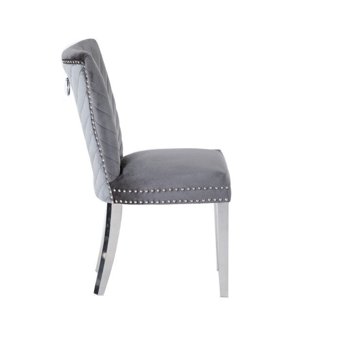 Eva Transitional Velvet Dining Chair with Stainless Steel Legs in Gray Set of 2