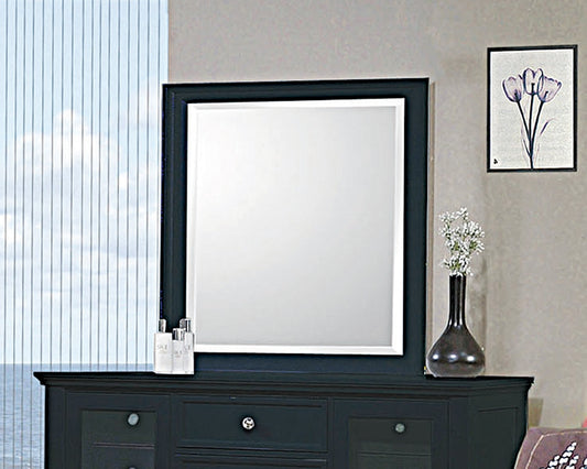 Sandy Beach II Black Finish Dresser Mirror