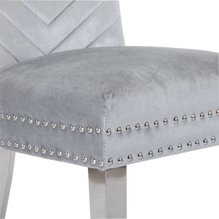 Eva Transitional Velvet Dining Chair with Stainless Steel Legs in Silver Set of 2