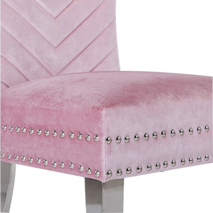 Eva Transitional Velvet Dining Chair with Stainless Steel Legs in Pink Set of 2