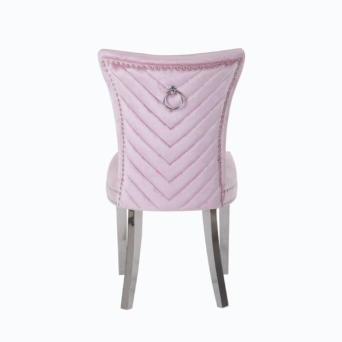 Eva Transitional Velvet Dining Chair with Stainless Steel Legs in Pink Set of 2