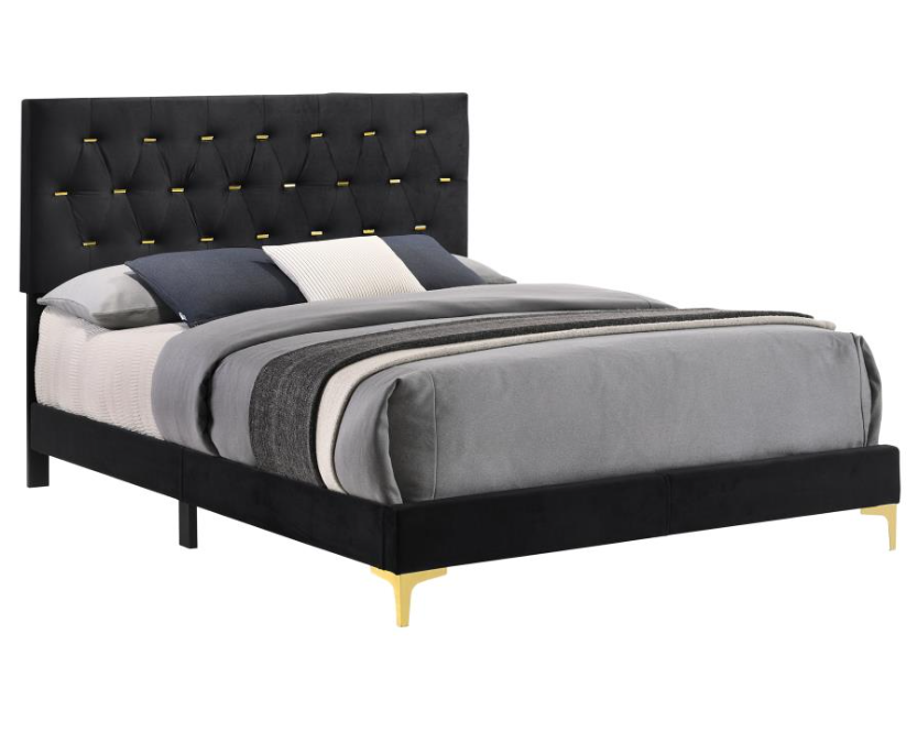 Kendall Velvet Panel Bed in Black & Gold - Queen