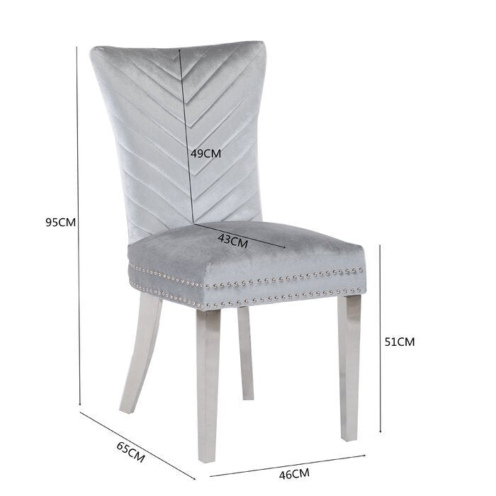 Eva Transitional Velvet Dining Chair with Stainless Steel Legs in Silver Set of 2