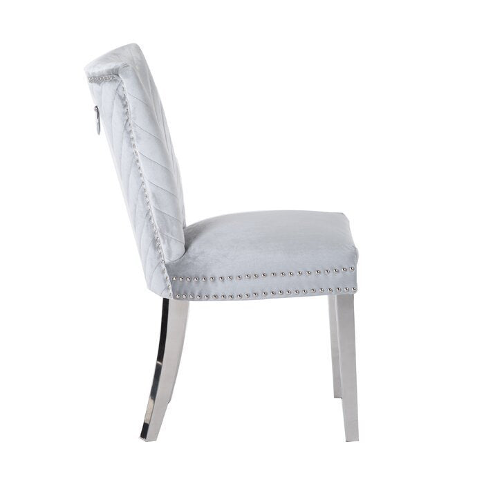 Eva Transitional Velvet Dining Chair with Stainless Steel Legs in Silver Set of 2