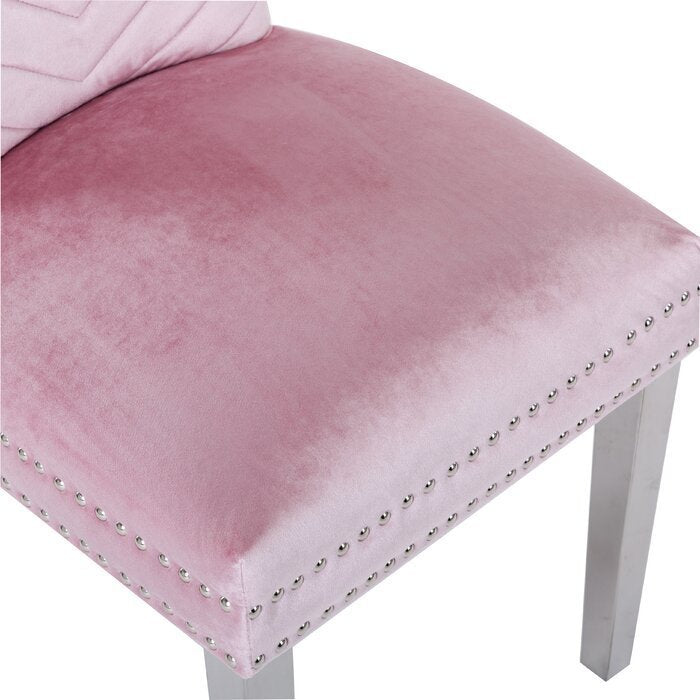 Eva Transitional Velvet Dining Chair with Stainless Steel Legs in Pink Set of 2